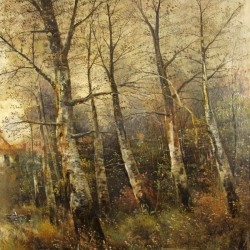 Detail of a forest